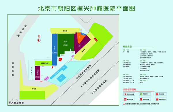 大鸡巴逼逼的逼逼北京市朝阳区桓兴肿瘤医院平面图